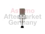 ASTEMO Датчик, давление выхлопных газов 2507455