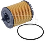BORG & BECK Eļļas filtrs BFO4051