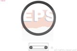 EPS Прокладка, термостат 1.890.538