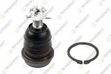 TEKNOROT Pallonivel MI-644