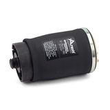 Arnott Pneimoatspere, Balstiekārta A-2501