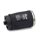 Arnott Pneimoatspere, Balstiekārta A-2502