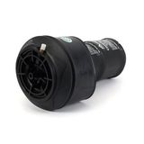 Arnott Pneimoatspere, Balstiekārta A-3303