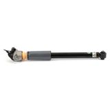 Arnott Amortizators MR-3851