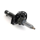 Arnott Amortizators MR-3855