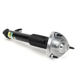 Arnott Amortizators SK-3606
