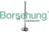 Borsehung Sisselaskeklapp B10322
