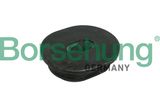 Borsehung Paigutus, radiaator B11362