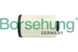 Borsehung Õlifilter B12417