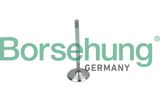 Borsehung Sisselaskeklapp B19018
