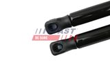 FAST Газовая пружина, крышка багажник FT00202K