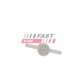 FAST Ventil, bränslefilter FT04256