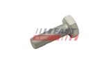 FAST Ruuvi, jarrulevy FT30601