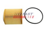 FAST Õlifilter FT38100