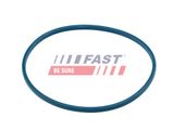 FAST Прокладка, заливной патрубок FT48504
