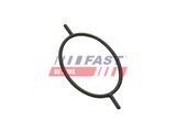 FAST Прокладка, вакуумный насос FT49923