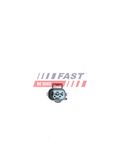 FAST Впрыскивающий элемент, регенерация сажевого/частичн. фильтра FT81701