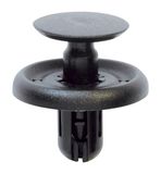 RESTAGRAF Tüübel, iluliist 12384