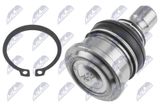 NTY Pallonivel ZSD-NS-036