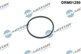 Dr.Motor Automotive Rõngastihend, ketipinguti DRM01290