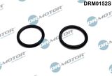 Dr.Motor Automotive Blīve, gaisa ieplūdes apsildes korpuss DRM0152S