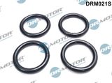 Dr.Motor Automotive Прокладка, впускной коллектор DRM021S