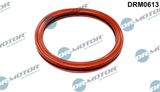 Dr.Motor Automotive Tihend, drosselventiil DRM0613