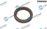 Dr.Motor Automotive Vārpstas blīvgredzens, Kloķvārpsta DRM0880