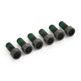 RIDEX Kruvikomplekt,hooratas 3985S0008