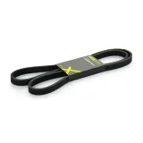 RIDEX Flerspårsrem 305P0222P