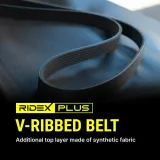 RIDEX Moniurahihna 305P0002P