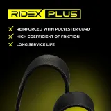 RIDEX Moniurahihna 305P0002P