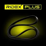RIDEX Moniurahihna 305P0002P