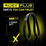 RIDEX Moniurahihna 305P0002P