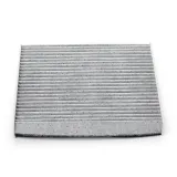 RIDEX Filter,salongiõhk 424I0231P