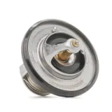 RIDEX Термостат, охлаждающая жидкость 316T0199
