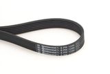 CONTINENTAL CTAM Flerspårsrem 6PK1256