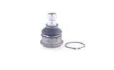 MONROE Pallonivel L43521