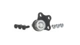 SKF Pallonivel VKDS 316005