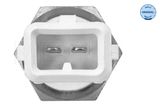 MEYLE Sensor, kylmedelstemperatur 100 919 0013