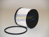 JAPANPARTS Топливный фильтр FC-ECO019
