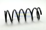 JAPANPARTS Пружина ходовой части ZC5905C