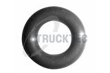 TRUCKTEC AUTOMOTIVE Rõngastihend, pihusti 08.13.004