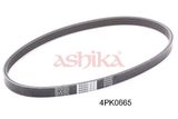 ASHIKA Moniurahihna 112-4PK665