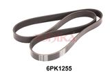 ASHIKA Flerspårsrem 112-6PK1255