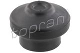 TOPRAN Подвеска, двигатель 104 422
