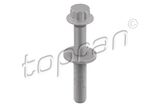 TOPRAN Remskiveskruv 117 607