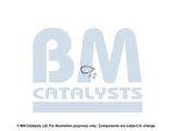 BM CATALYSTS Montaažikomplekt, heitgaasitoru FK50199B