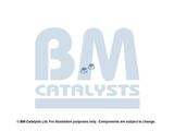 BM CATALYSTS Montaažikomplekt, heitgaasitoru FK51015B