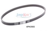 JAPKO Moniurahihna 4PK665